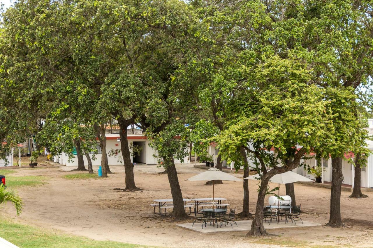 Bonitto Inn Tampico Altamira エクステリア 写真